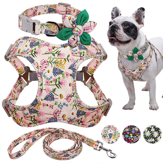 Blooming Paws! Flower Power Dog Collar & Harness Set – For Stylish Walks with Your Pup - amazing bark 