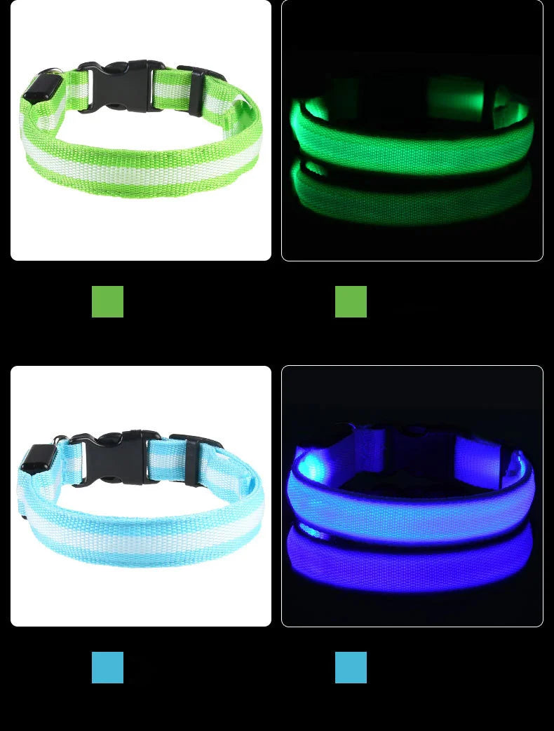 Light Up Your Walks! Nylon LED Glow-in-the-Dark Dog Leash & Collar - amazing bark 