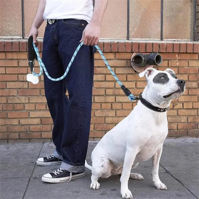 Stay in Control! Reflective Dog Leash with Padded Handle - amazing bark 