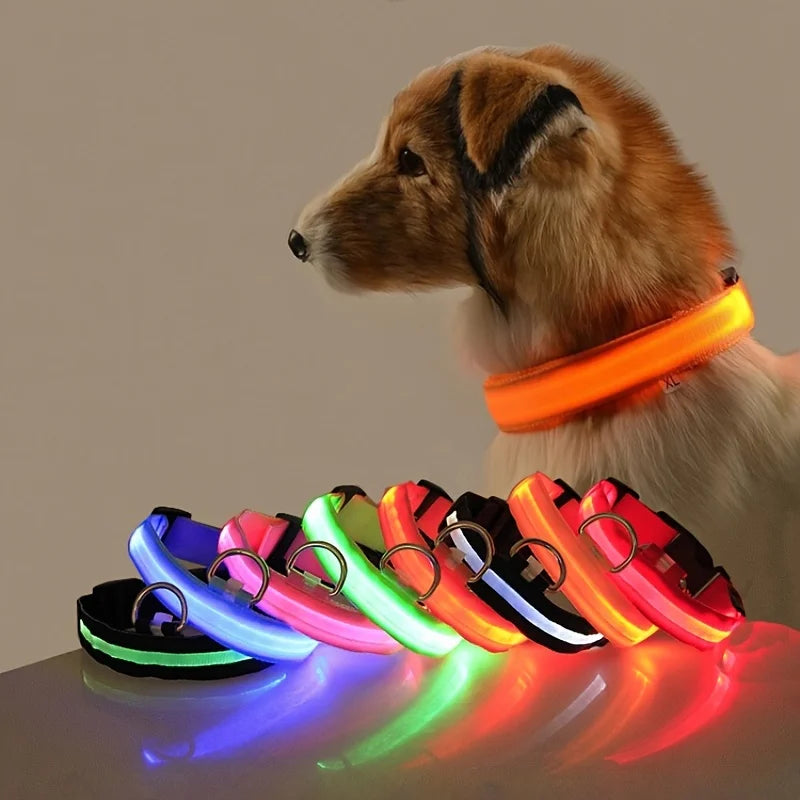 Light Up Your Walks! Nylon LED Glow-in-the-Dark Dog Leash & Collar - amazing bark 