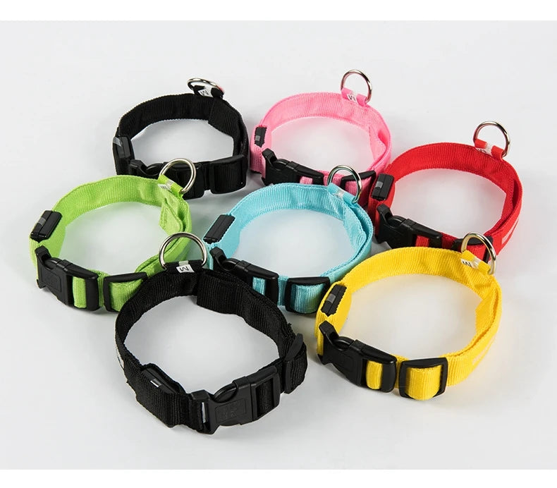 Light Up Your Walks! Nylon LED Glow-in-the-Dark Dog Leash & Collar - amazing bark 