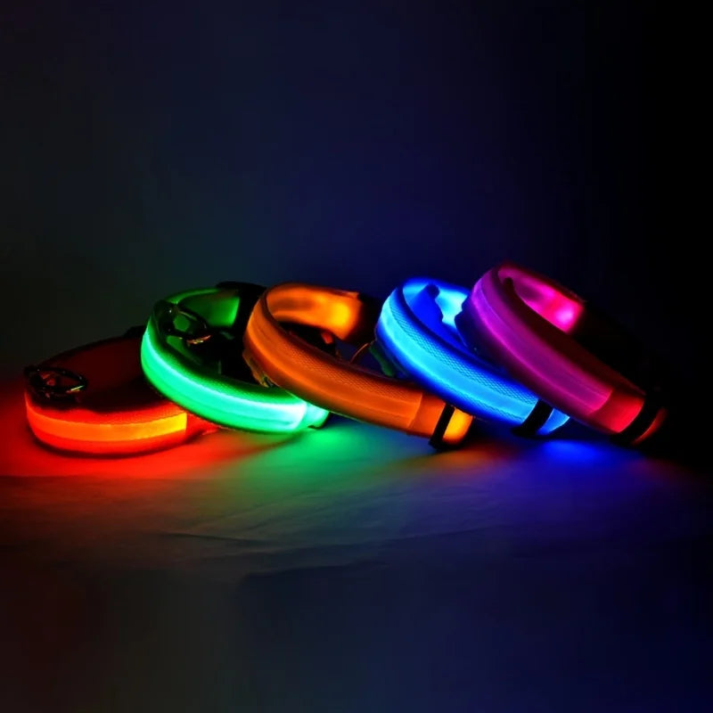 Light Up Your Walks! Nylon LED Glow-in-the-Dark Dog Leash & Collar - amazing bark 