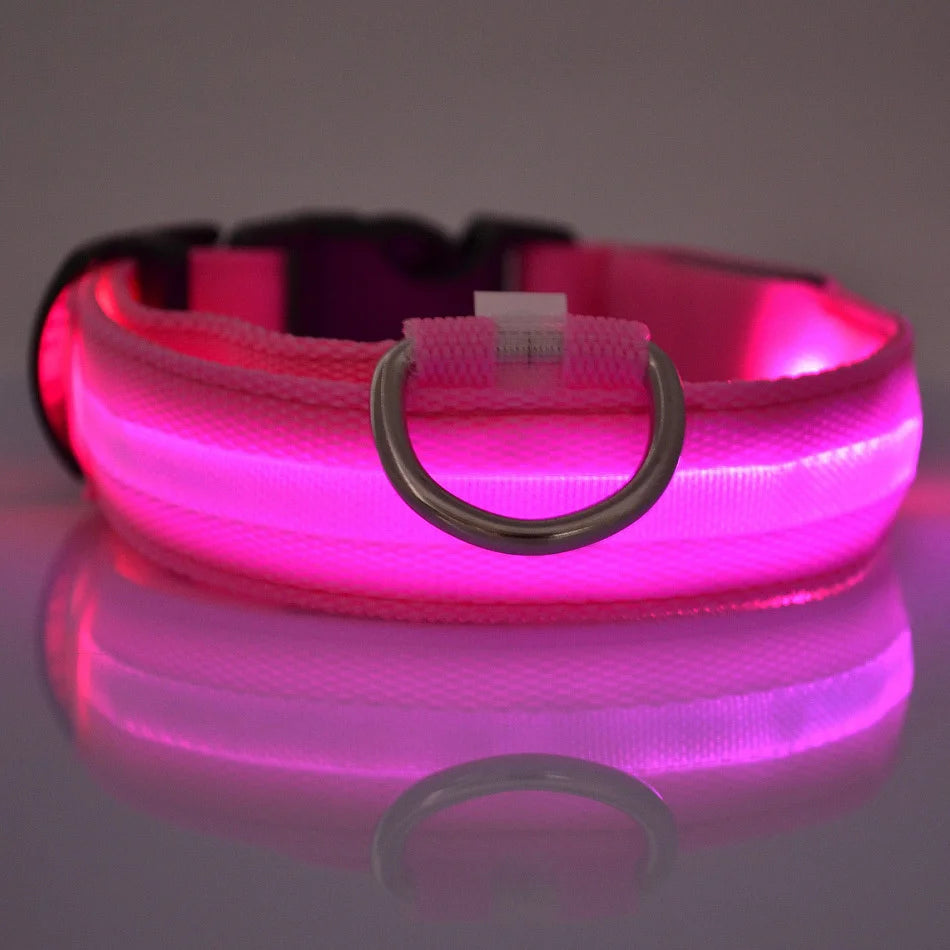 Light Up Your Walks! Nylon LED Glow-in-the-Dark Dog Leash & Collar - amazing bark 