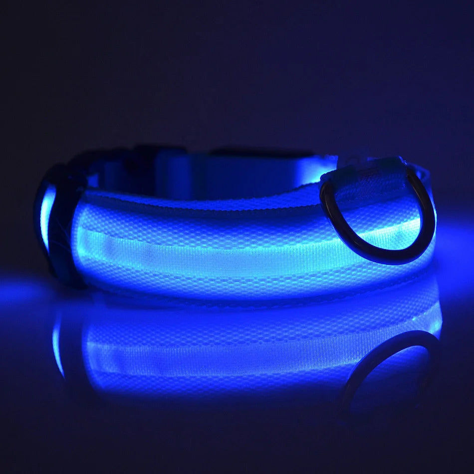 Light Up Your Walks! Nylon LED Glow-in-the-Dark Dog Leash & Collar - amazing bark 