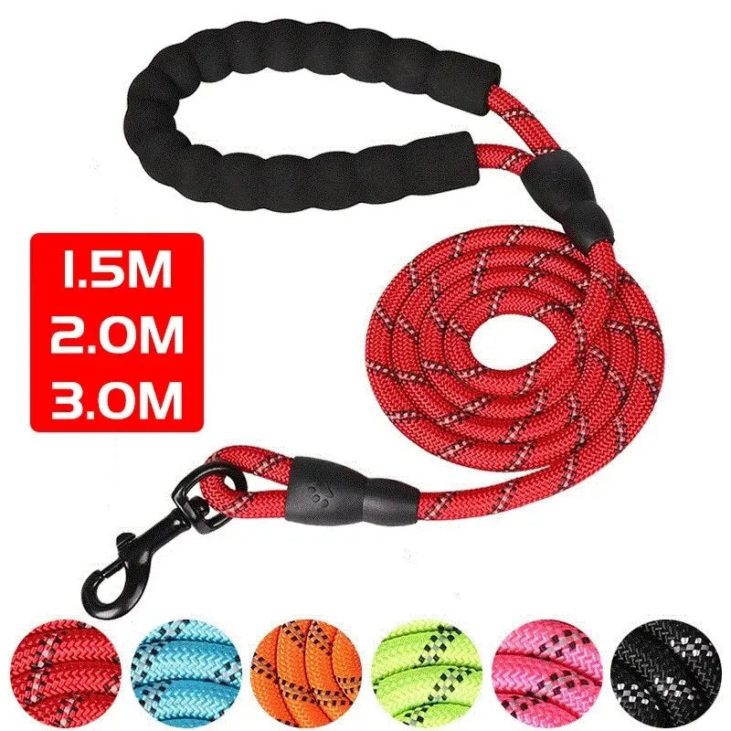 Stay in Control! Reflective Dog Leash with Padded Handle - amazing bark 