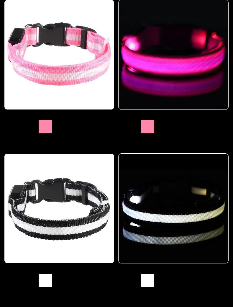 Light Up Your Walks! Nylon LED Glow-in-the-Dark Dog Leash & Collar - amazing bark 