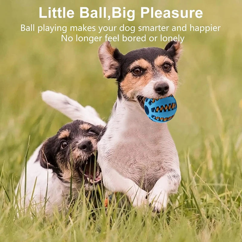 Bouncy Fun! Interactive Chew & Food Ball Toy – Perfect for Small Dogs - amazing bark 