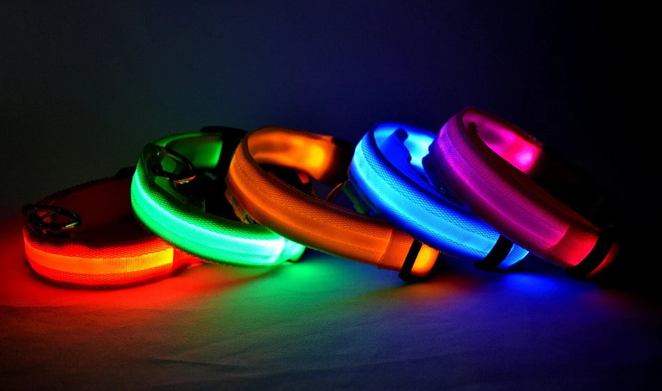 Light Up Your Walks! Nylon LED Glow-in-the-Dark Dog Leash & Collar - amazing bark 