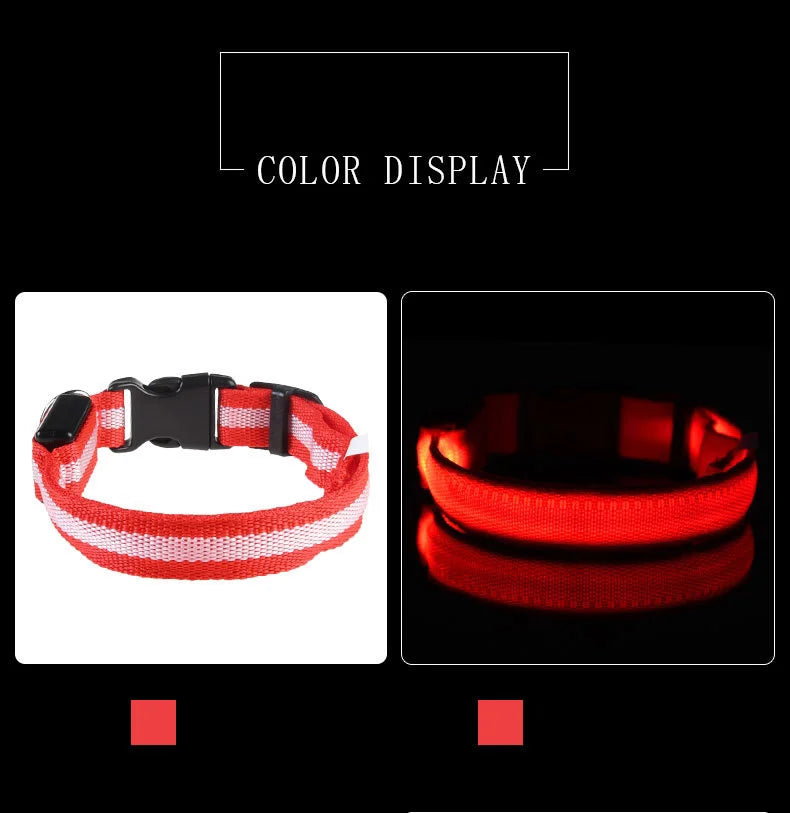 Light Up Your Walks! Nylon LED Glow-in-the-Dark Dog Leash & Collar - amazing bark 